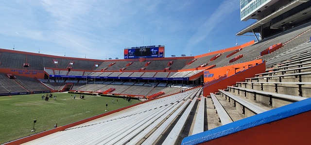 馈机制对于 馈机制对于