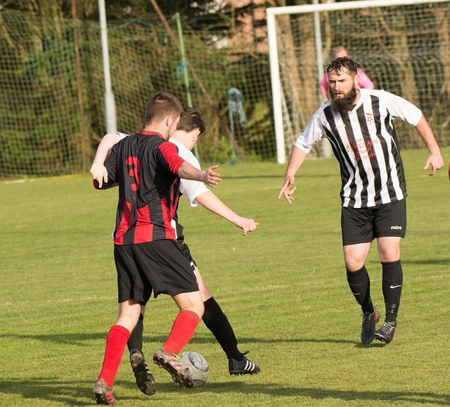 納入未來的 納入未來的