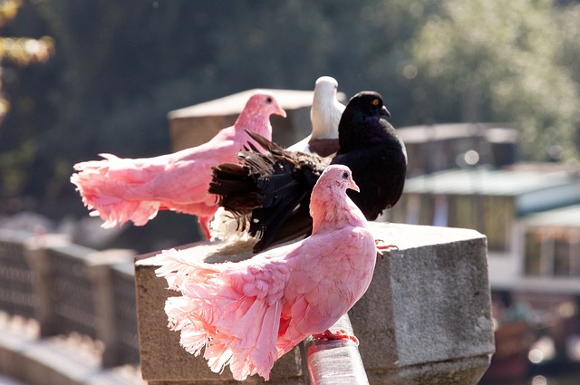 赛季中不断 赛季中不断