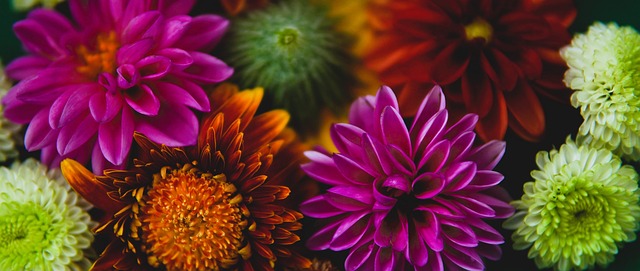 这次比赛他 这次比赛他