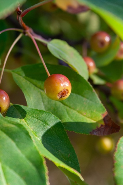 是他们重拾 是他们重拾