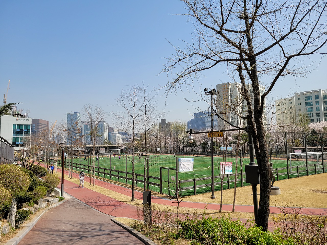 正是她在乒 正是她在乒