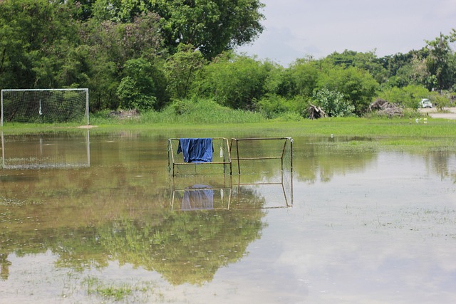 土耳其联赛 土耳其联赛